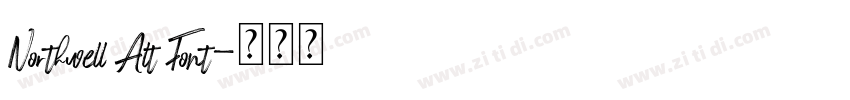 Northwell Alt Font字体转换 Northwell Alt Font字体转换